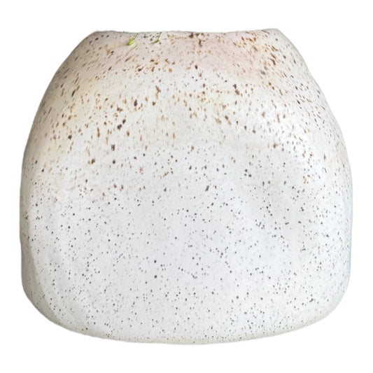 White Ceramic Vase