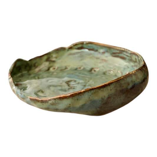 Shell Dish